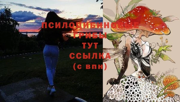 твердый Рославль
