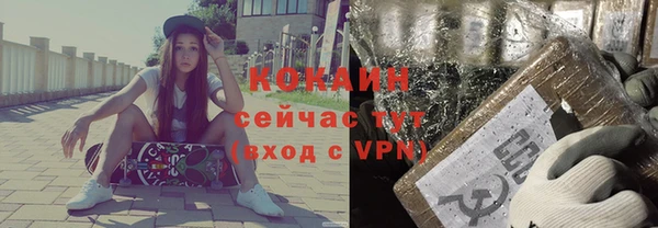 твердый Алексеевка