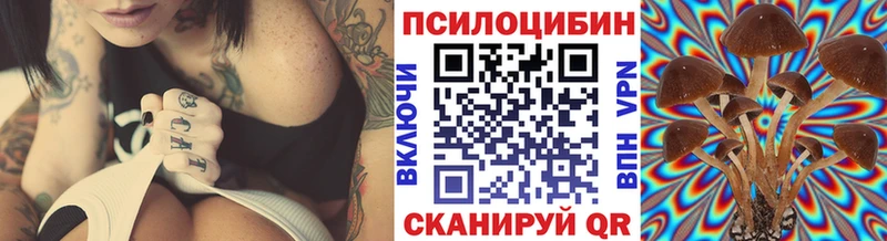 Галлюциногенные грибы Cubensis  где найти   дарк нет наркотические препараты  Долинск 